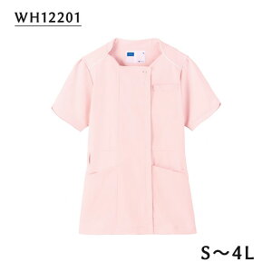 `jbN@WH12201@CgsN@zCZ(WHISEL)@dy Ōt i[X   n t m[J[  pCsO  킢z