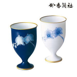 y12/1 9:59܂Ń|Cg2{zӒEyACJbv(2qg) RW1202-2BYL ЁyJbv Jbv yAZbg  lCr[  zCg ԕ _ z