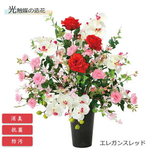 y12/1 9:59܂Ń|Cg10{z̊y G} GKXbh 2365P215 A[gNGCVyt[AWg  CeA  sv Mtg v[gzy