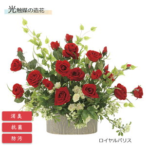 y12/1 9:59܂Ń|Cg10{z̊y G} CpX 745P160 A[gNGCVyt[AWg  CeA  sv Mtg v[gzy