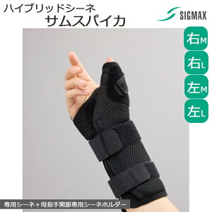 [֑MvX nCubhV[l TXpCJ VO}bNX E/ M/LyA~Xe[ w MvX ֐߃T|[^[  w r 菶 Œ  ֐ߌŒ葕  