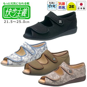 ATqV[Yw`xL133SL (3E)̔y 킢 fB[X p wlp O y y ܂ɂ EȒP CV[Y ҃VjA N V[Y 