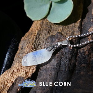 p[Xg[ lbNX VR y_ggbv [Xg[ ^ K^  vw~ zCg fB[X Mtg a a 6 킢   ^CUP