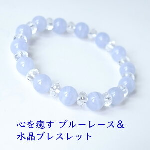 p[Xg[ VR uXbg u[[X ỹu[[XƐ̃uXbgz  F D R~jP[V 肢 fB[X nhChANZT