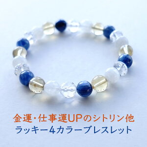 p[Xg[ VR uXbg Vg JiCg JCiCg [Xg[ y^Ed^UP̃Vg 4J[bL[uXbgz肢 fB[X 킢 Mt