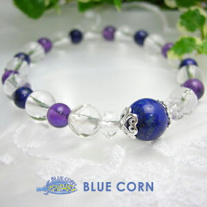 󂠂 p[Xg[ uXbg Y fB[X ysXYzuvsXYƃAWXguXbg p|Xg| VR  sXEY 肢 J^ Lapis Lazuli power 