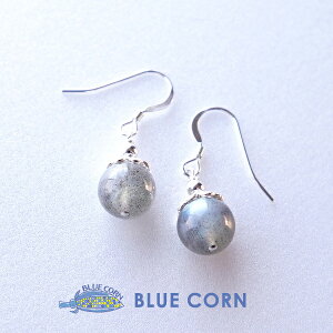 �p���[�X�g�[�� ���F�̋P�� ���u���h���C�g �s�A�X �m���z�[���s�A�X (���i���j �p���|�X�g�|�� �V�R�� ���������Y ���f�B�[�X ���� �� �K�^ �V�R�� �V�R�΃s�A�X�M�t�g ���f�B�[�X