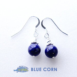 sAX sXY p[Xg[yK^lC̃sXYzVR Vo[925 sAX lCr[ K^  肢 Mtg  킢 tbNsAX fB[X J[X