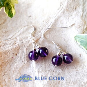 sAX AWXgy AWXg ڃsAXzVo[925 p[Xg[ VR sAX   K^ ^UP Vg v[g Mtg  킢  tbNsAX 