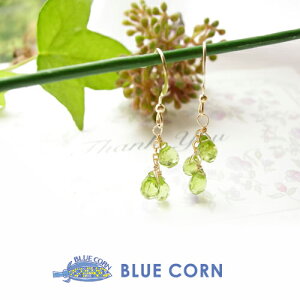 p[Xg[ sAX VR 14 S[htB[h mz[sAX yhbg S O[ ANZT[ WG[ fB[X Mtg a a 7 킢 @