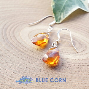 p[Xg[ sAX VR  Ao[ sAX mz[sAX  K^  肢 fB[X Mtg v[g  킢  nhCh ANZT[ 14kgf W