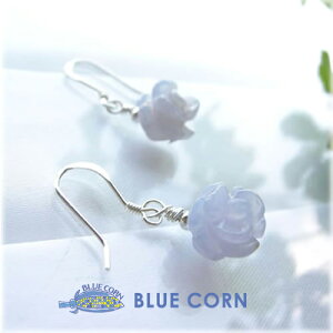 p[Xg[ sAX VR mz[sAX u[[X S𗎂 u[ ANZT[ WG[ fB[X Mtg a 킢  nhCh  ^CUP