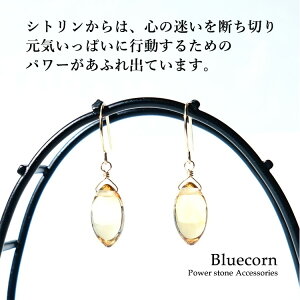 k18 Vg sAX p[Xg[ VR 18 18k S[h yCςɍs͂NĂ ^Abv̐ Vg  18sAXzh tbN sAX K^ J^  肢