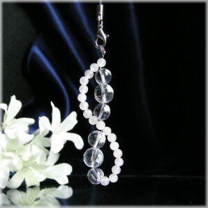 p[Xg[ Ɣ̏_E [YNH[c ƂNH[c gуXgbv p|Xg| VR Y fB[X   K^ VR