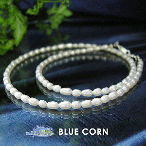 p[Xg[ C̑؂ȑ蕨BBp[lbNX p|Xg| VR Y fB[X   K^ VR