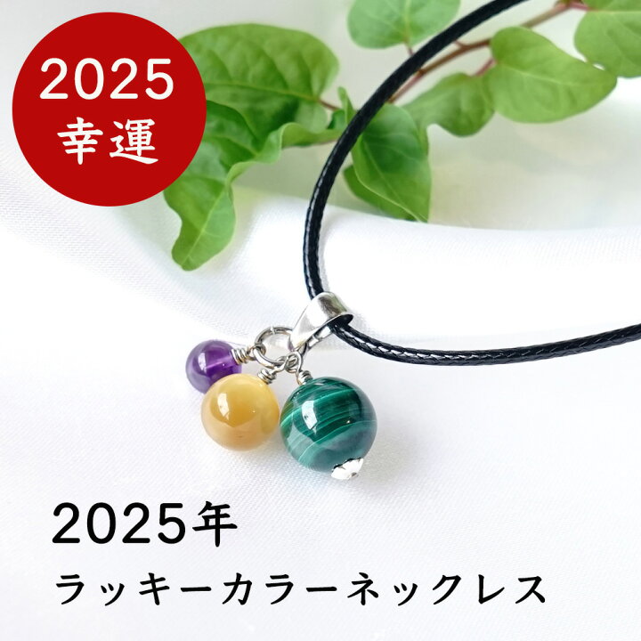 楽天市場】2025年 ラッキーカラー ネックレス 【金運 幸運 魔除け 2025 