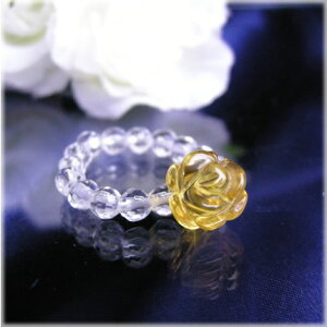 p[Xg[ KÑp[Xg[OVg p|Xg| VR Y fB[X   K^ VR