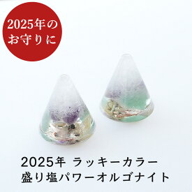 盛り塩 オルゴナイト 2025 ラッキーカラー パワーストーン 【守られた空間を作りませんか？ 2025年ラッキーカラー パワーストーン入り 盛り塩パワーオルゴナイト さざれ水晶50g付 】辰年 厄除け ギフト 風水 玄関 トイレ 浄化 ヒーリング 開運アイテム インテリア 雑貨 占い