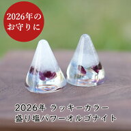 盛り塩 オルゴナイト 2026 ラッキーカラー パワーストーン 【守られた空間を作りませんか？ 2026年ラッキ…