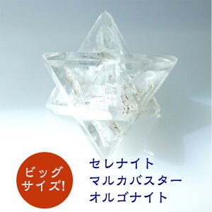 ZiCg _􉽊w }Jo. }JoX^[ ISiCg }JoX^[ Z䊐ẼwLTS yȂ ^؂J rbOTCY ZiCg }JoX^[ ISi