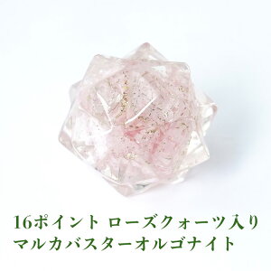 [YNH[c _􉽊w }Jo }JoX^[ ISiCg }JoX^[ Z䊐ẼwLTS yK^ 16|Cg [YNH[c  }JoX^[ ISiCgz  