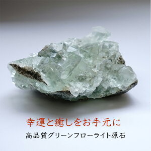 �p���[�X�g�[�� �V�R�� ���� �O���[���t���[���C�g �y���������ǂ������ւƓ��� �D�����G�l���M�[�ōK�^�����ށz�u�� �C���e���A �� ����� ���� ������� �K�^ �J�^ ����