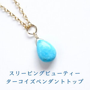 p[Xg[ VR ^[RCY X[sOr[eB[ y_g lbNX yEňԔ^[RCYzgR 14KGF ^ J^   Y fB[X lbNX 