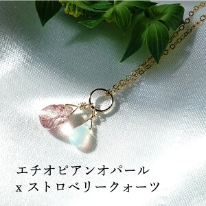 G`IsA Ip[ Xgx[NH[c CJ[Y [hNTCg u[ Tt@CA 14KGF y_g lbNX VR p[Xg[ ylC̃G`IsA Ip[  3