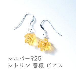 Vg sAX p[Xg[ VR Vo[925y^ ^ ɐ  p[Xg[ S邭Ȃ Vg KN sAXztbNsAX K^ ^ J^ 肢 Vo[ fB[X 