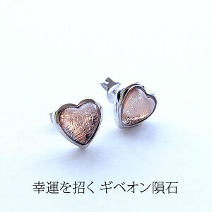 MxI覐 sAX yK^ MxI覐΂̃n[gsAXzp[Xg[ sAX Vo[925 K^ J^ ^UP sN Vo[ fB[X 킢   Mtg  V