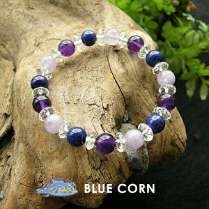 p[Xg[ uXbg Y fB[X ysXYzsXYi3Aj AWXgi3Aj ~L[AWXg uXbg p|Xg| VR  sXEY 肢