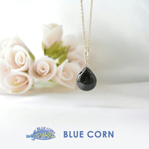 p[Xg[ VR lbNX y_gI  y_ggbv 14KGF Y fB[X   K^ VR