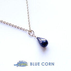 楽天市場 チャーム ネックレス ペンダント レディースジュエリー アクセサリー ジュエリー アクセサリーの通販