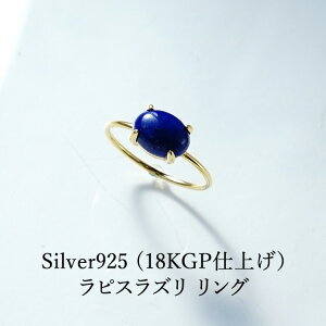 p[Xg[ sXY O Vo[925 18KGPdグyK^p[Xg[ sXY ̃OzVR K^ J^ ^UP  肢 fB[X Mtg ANZT[ p