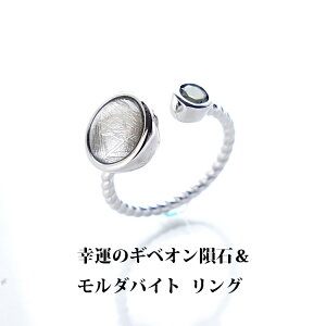 MxI覐 _oCg O p[Xg[ VR ŷl̂ƂւĂ MxI覐΂ƃ_oCg̃OzVo[925 Mtg v[g 킢  fB