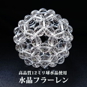 _􉽊w t[  i AAA 12~ yŋ̃p[h i12~ t[zobL[{[ p[Xg[ VR GlM[ O[gZgT