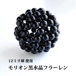 _􉽊w t[ 12~ I  Iyŋ̃p[h Ĩt[zobL[{[ p[Xg[ VR GlM[ O[gZg