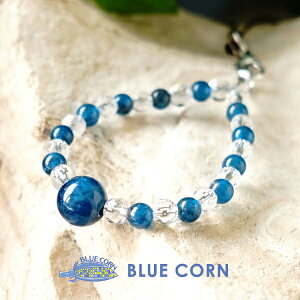 Ap^Cg  p[Xg[  gуXgbv VR yaƐM֌Wu[Ap^Cg Ɛ̌gуXgbvzK^  ^UP 肢 Y fB[X 킢 