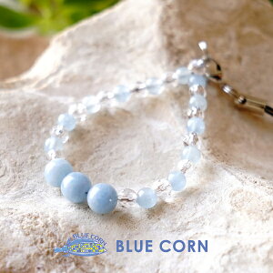 ANA}  p[Xg[ VR gуXgbvyC̐̕ ANA}Ɛ̌gуXgbvzK^  ^UP  肢 Y fB[X 킢  