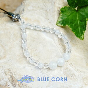 [Xg[  p[Xg[ VR gуXgbvyȂ郀[Xg[Ɗ肢鐅̌gуXgbvzK^  ^UP  肢 Y fB[X 킢