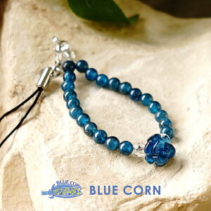 Ap^Cg  p[Xg[  gуXgbv VR yKÑu[Ap^Cg Ɩ̐̂gуXgbvzK^  ^UP 肢 Y fB[X 킢 