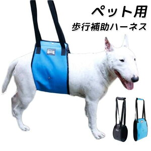  pn[lX s⏕ n[lX ppi 둫 V sT|[g PApi  bV \tg 㑫 T|[gn[lX [h ^ ^ ^ p ybgp  