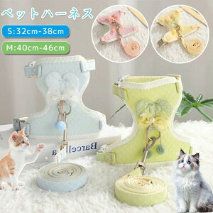 y2_ZbgzL n[lX [hZbg ybgn[lX ybg[h Lpi ybgObY L[h Lp U o v[g Mtg y L n[lX Ȃ  [h 