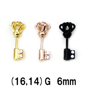 18GP^BK^PG@{fBsAX@`[t̃o[x@y16G@14Gz6mm[֗300~