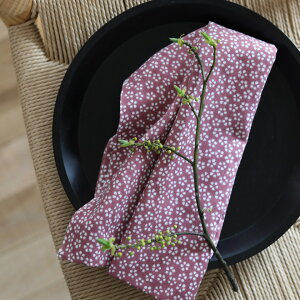 tu na gu ĂʂyzĂʂ ʂ ` `H| CeA G { made in Japan 100  nJ` C~ bsO  Mtg v[g 炵 n |H@