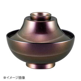 桐井陶器 モデルノ MODERNO 長寿椀 華秀(茶) 290-9811