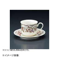 フルーツNBコーヒー碗