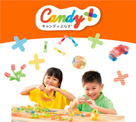 キャンディぷらす Candy+ 5ピース 知育 おもちゃ 玩具 脳育トイ 脳トレ 脳科学 茂木健一郎