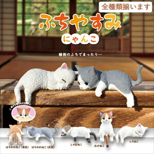 ySޑ܂zYELL G[ ӂ₷݁`ɂ񂱁` S5A\[g Rv[g  L lR 킢 tBMA  K` K`K`