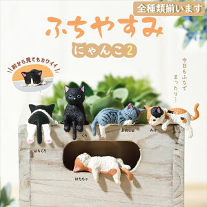 ySޑ܂zYELL G[ ӂ₷ ɂ2 S5A\[g Rv[g  L lR 킢 tBMA  K` K`K`